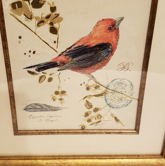 Bird picture. - Picture 3 of 9